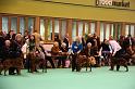 Crufts2010 1100